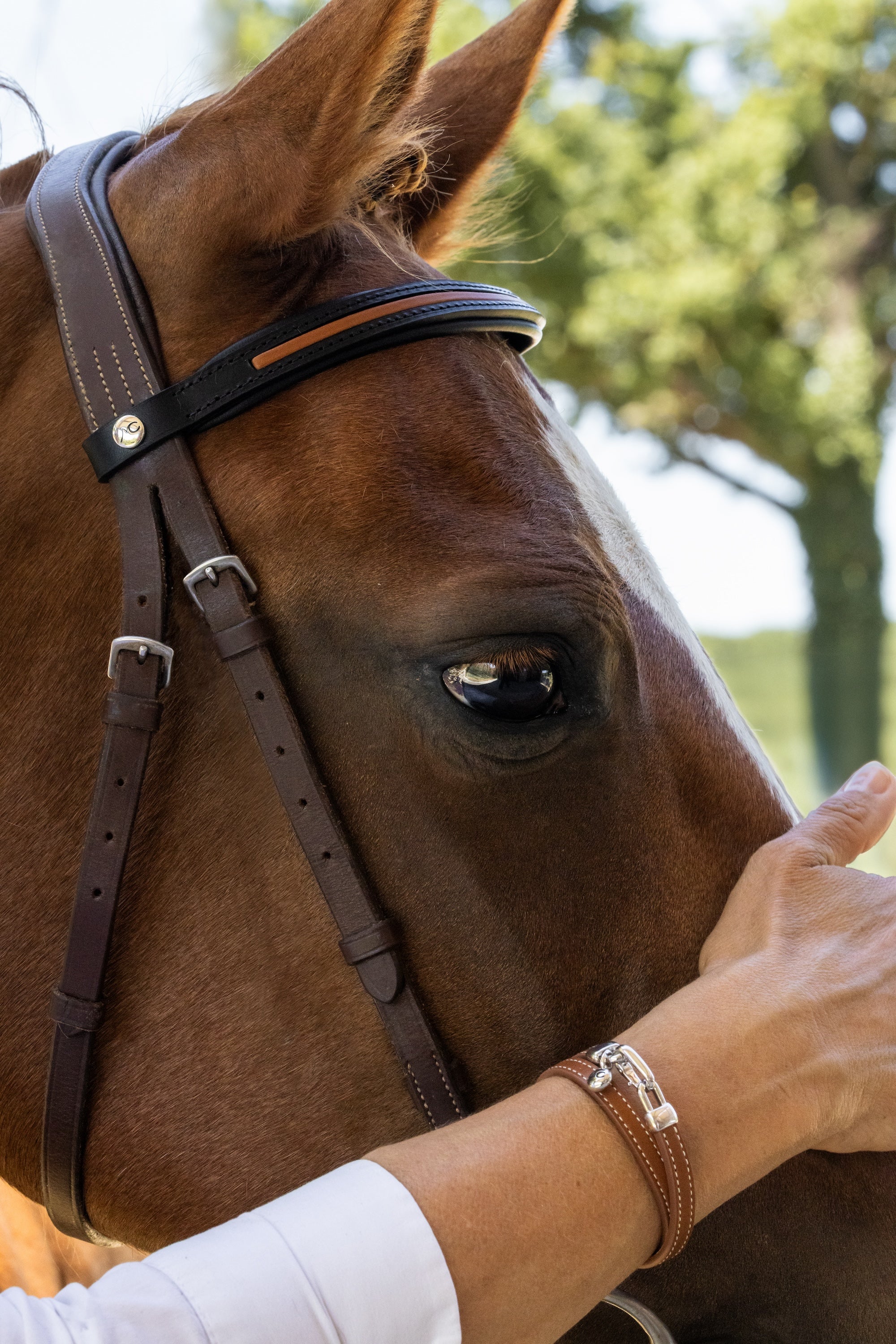 Bague Tarquin | Souvenir en crins de cheval – Hopy Cie Bague Tarquin | Souvenir en crins de cheval – Hopy Cie