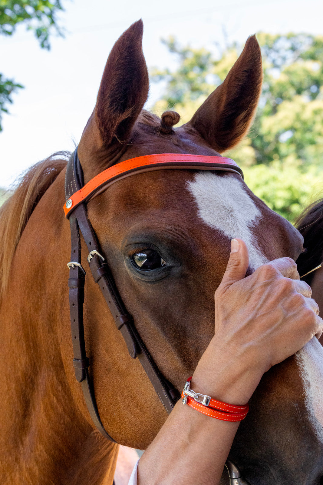 COFFRET VICHY - FRONTAL HAVANE PLEIN