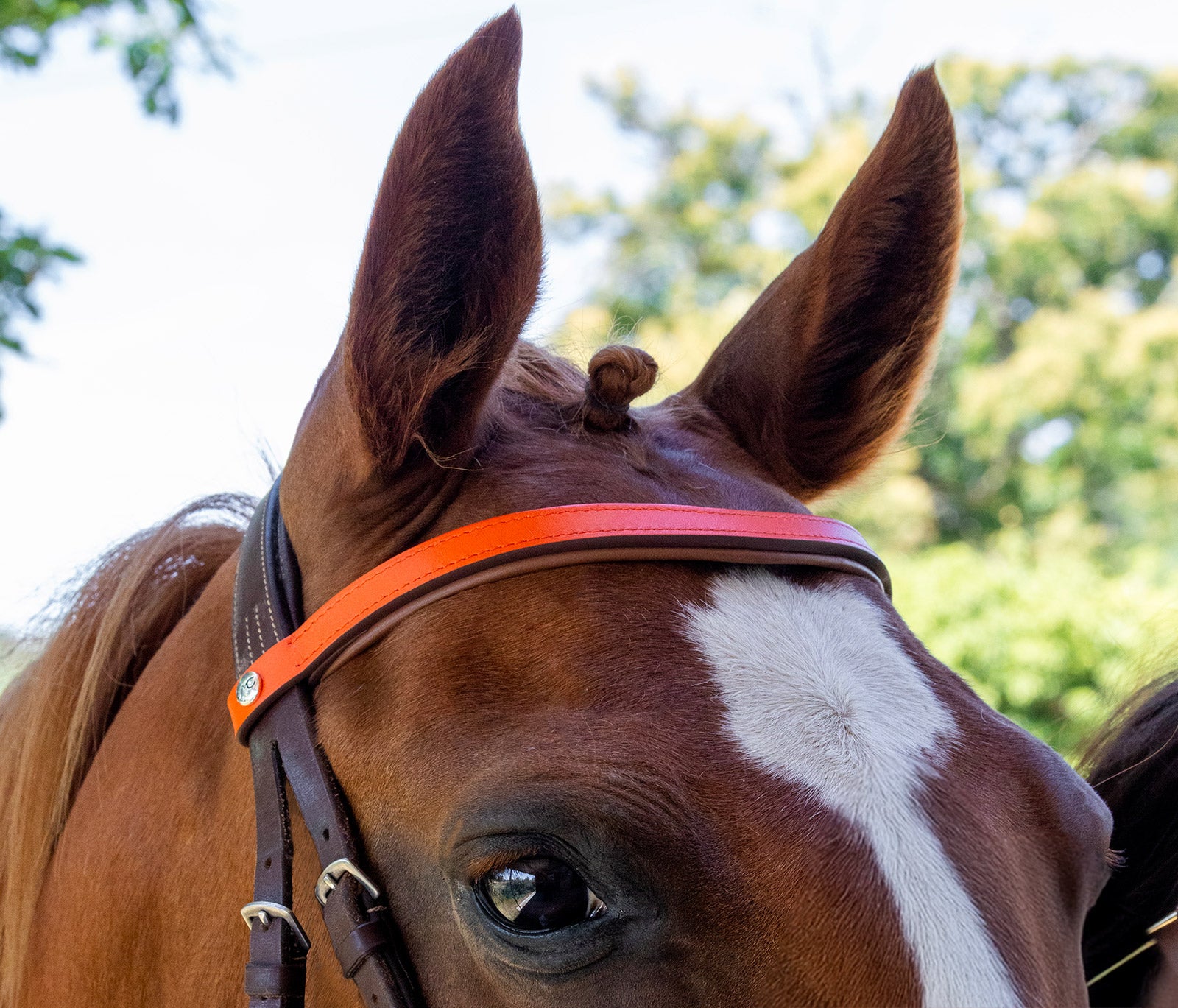 COFFRET VICHY - FRONTAL HAVANE PLEIN