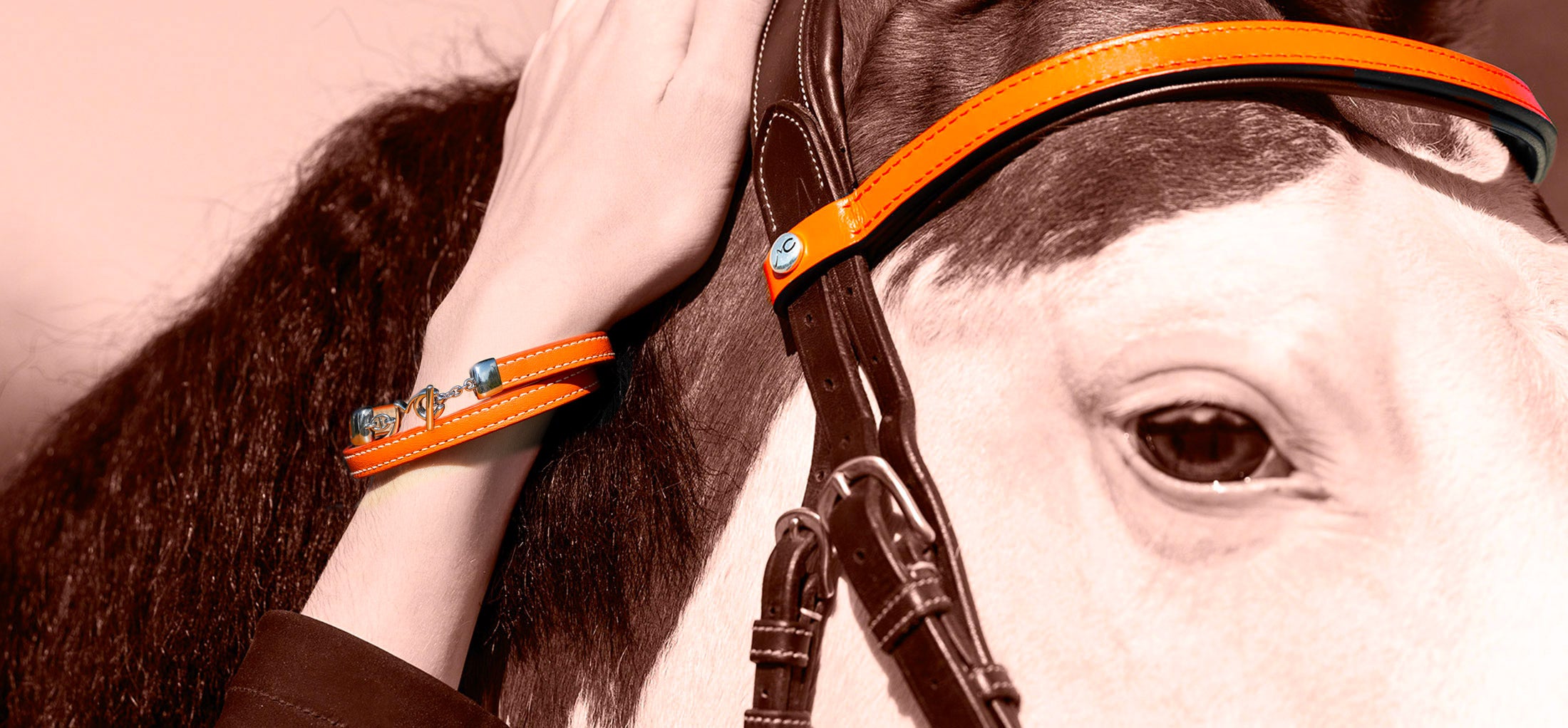 Hulara Ensemble collier de poitrine et collier de poitrine en cuir de chamois de qualité supérieure - Ensemble collier de poitrine pour cheval - Collier de poitrine noir pour chevaux Hulara Ensemble collier de poitrine et collier de poitrine en cuir de chamois de qualité supérieure - Ensemble collier de poitrine pour cheval - Collier de poitrine noir pour chevaux